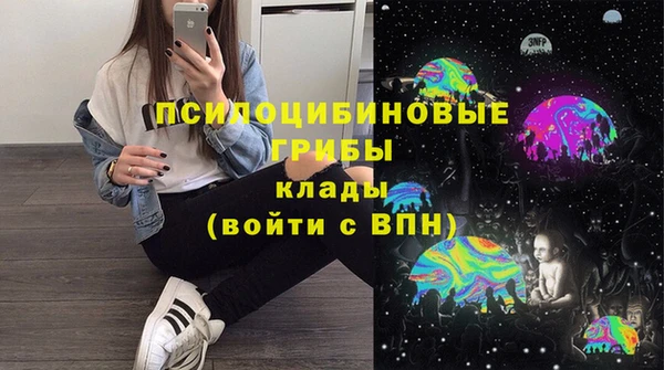 гидра Майский