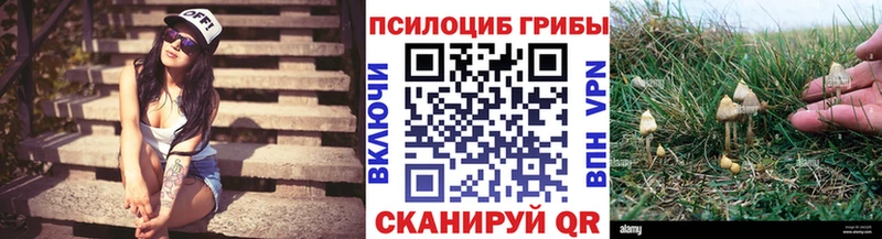 Галлюциногенные грибы Magic Shrooms  Купить  Амурск 